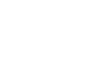 schweizzzry